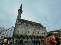 🏰 A Perfect Day Trip from Helsinki to Tallinn: History, Views, and Hidden Gems