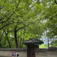 🇰🇷 Hidden Gem in Seoul | Secret Garden of Changdeokgung Palace