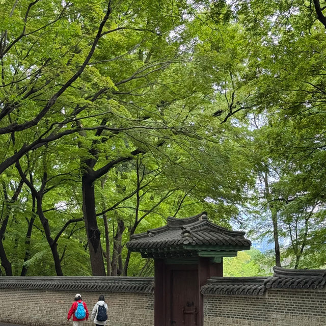 🇰🇷 Hidden Gem in Seoul | Secret Garden of Changdeokgung Palace