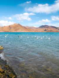 Tibet: the roof of the world
