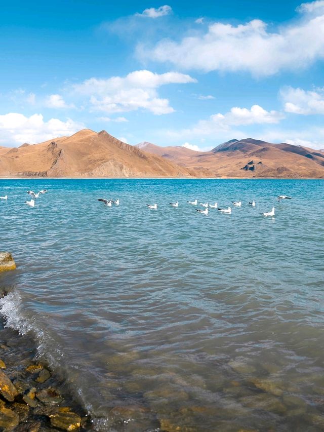 Tibet: the roof of the world