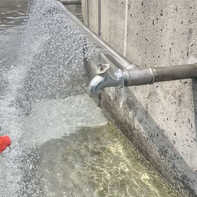1日遊び尽くせる‼️人気スポット