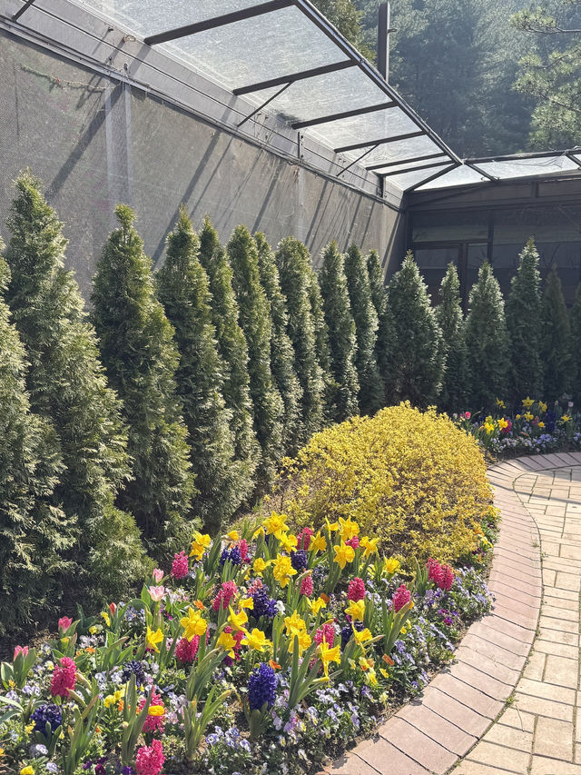 🌸 봄을 걷다, 화담숲 여행기 