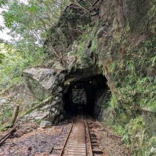 Yakushima Forest Trails (屋久島) – Kagoshima