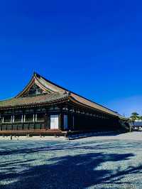 โอซาก้า🇯🇵