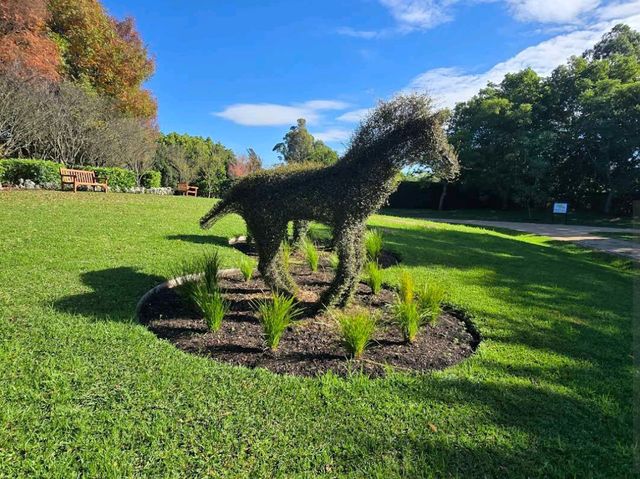 Hunter Valley – NSW