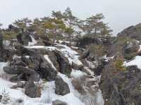 3月日本自由行 景点篇 鬼押出火山岩石公園