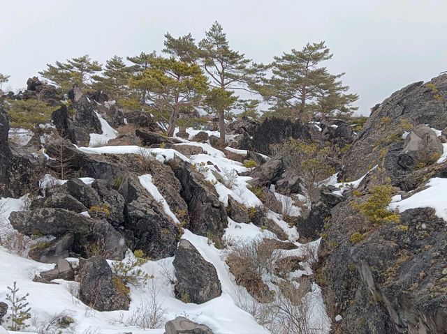 3月日本自由行 景点篇 鬼押出火山岩石公園