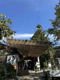 【京都🇯🇵】里山の風景を歩く静かな旅🚶🌳