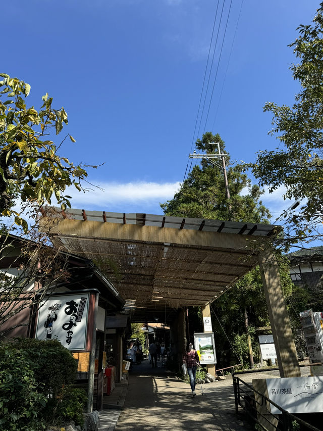 【京都🇯🇵】里山の風景を歩く静かな旅🚶🌳