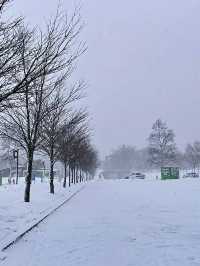 โอซาก้า🇯🇵❄️