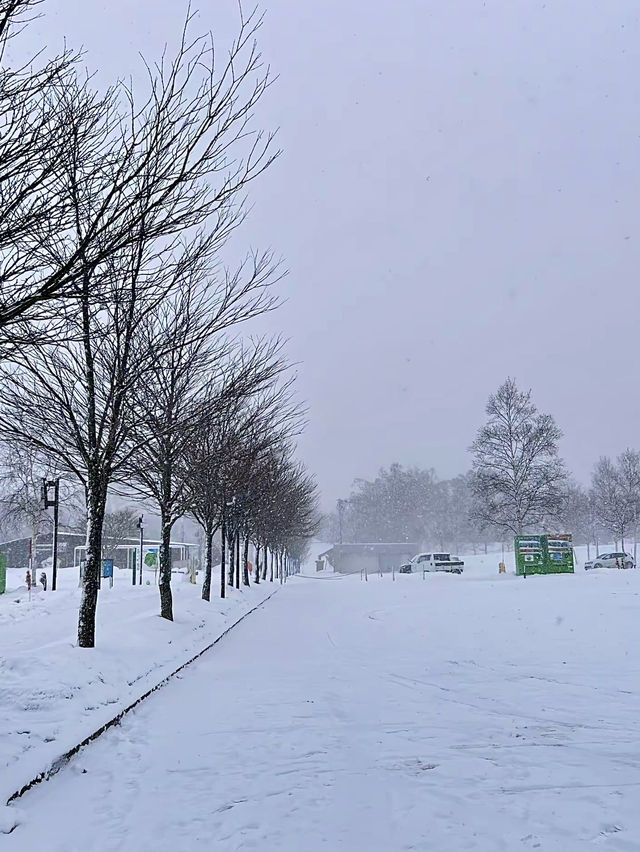 โอซาก้า🇯🇵❄️