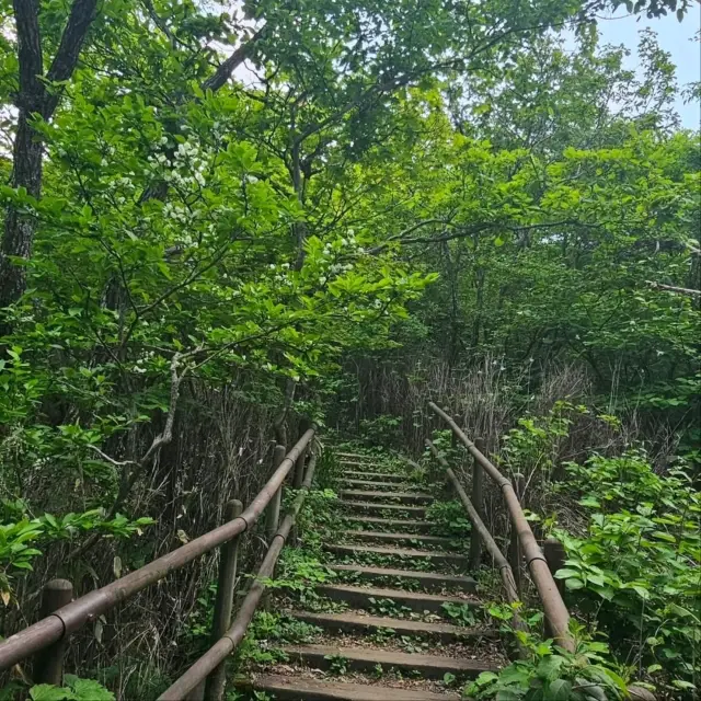 문장대 정상에 오른 송리산 등반기