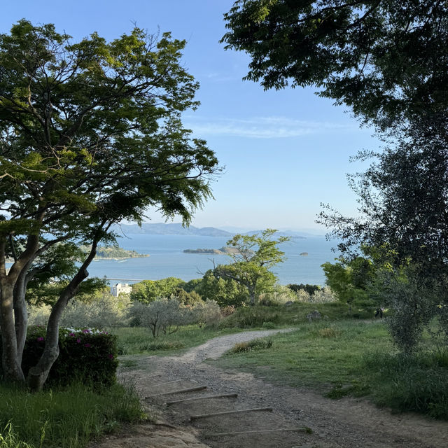【岡山】牛窓オリーブ園
