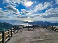 Forest Trails & Sea Breeze Feels on Geoje