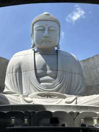 Sapporo … Hill of Buddha & Takino suzuran 