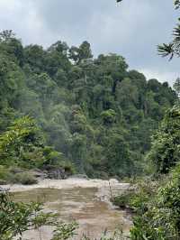 Khao Yai Adventure: 🐘 🍉🍕