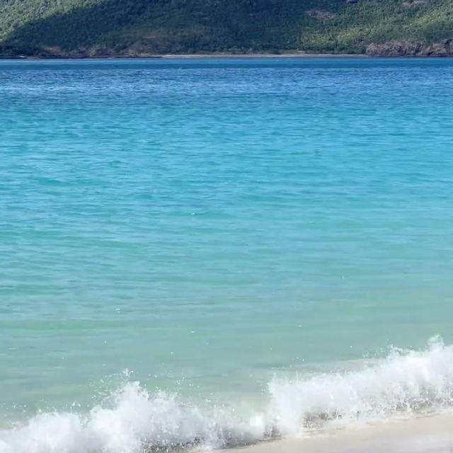 🇦🇺🦘布村小眾 | 白日夢島🐚🥥🫧🩵
