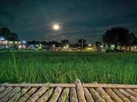 🌾 นอนฟิน กินหมูกระทะ กลางทุ่งนาเขียว 🍃