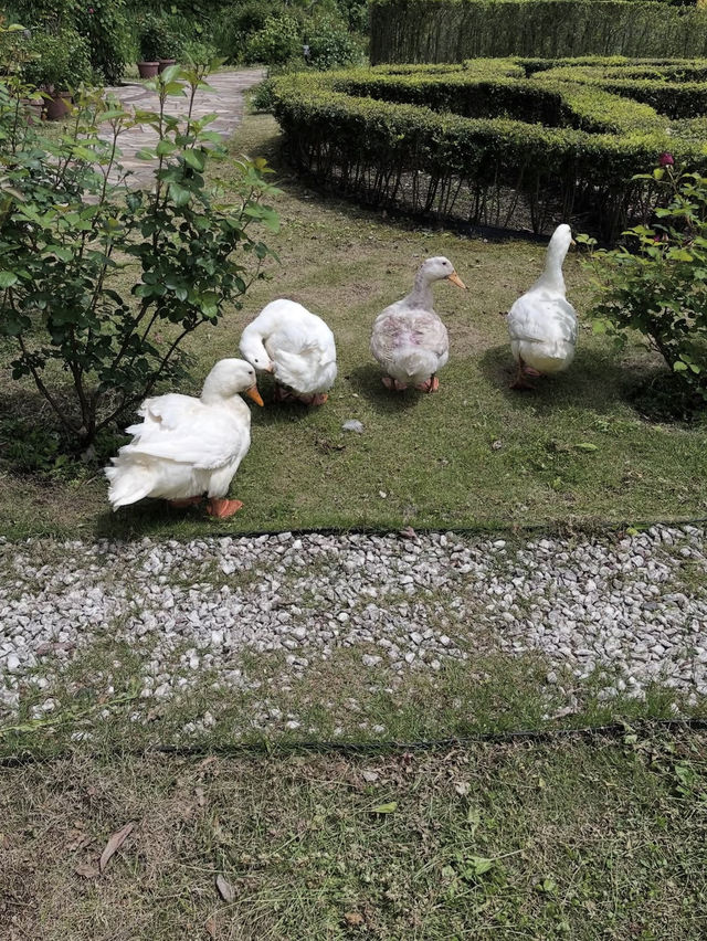 【ロックハート城】中世ヨーロッパにタイムスリップする非日常体験旅