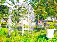 Dome cafe