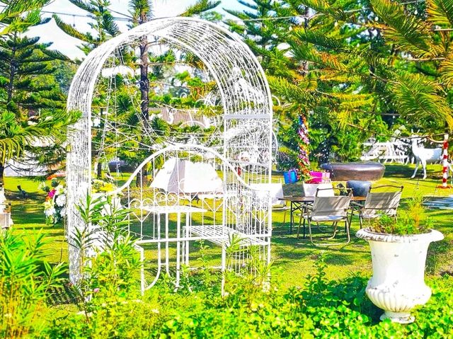 Dome cafe