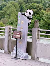 🌊 Dujiangyan Summer Survival Guide