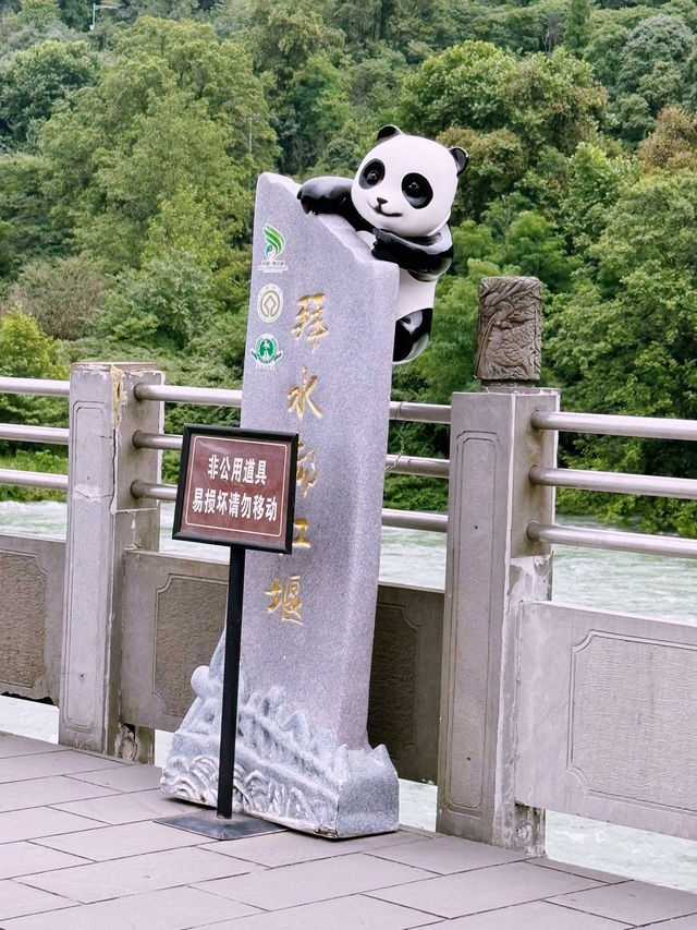 🌊 Dujiangyan Summer Survival Guide