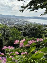 こんな景色が見れるなんて！日本の無人島と長谷寺あじさい