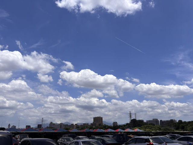 🌟 福和橋跳蚤市場：藏在都市裡的寶藏天地 🌟