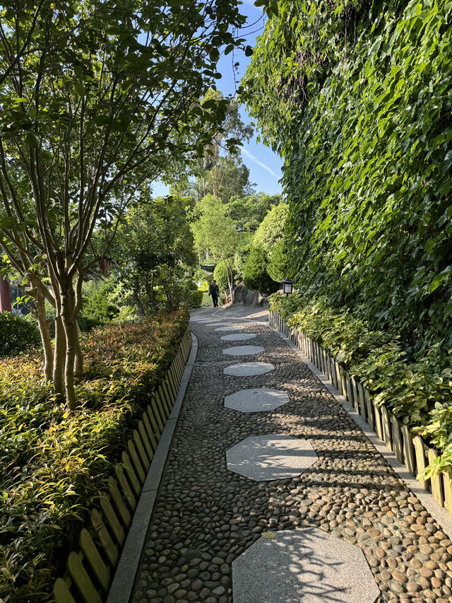 鼓浪屿·菽庄花园(Shuzhuang Garden) 후기 – 바다를 품은 고즈넉한 풍경 속 힐링 공간 