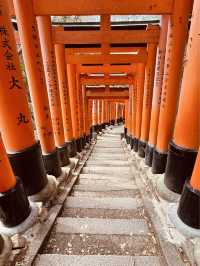 ⛩️✨ Fushimi Inari Taisha: Kyoto’s Iconic Thousand Torii Gates