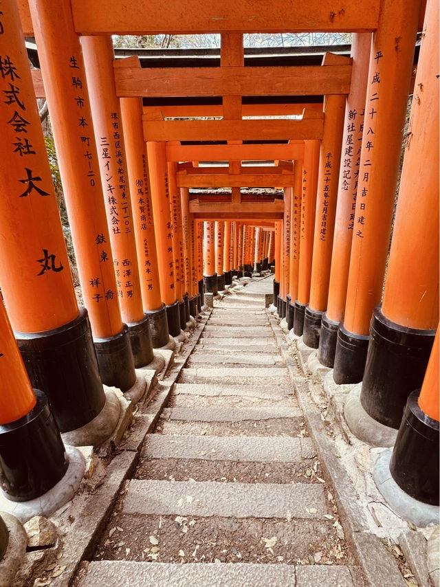 ⛩️✨ Fushimi Inari Taisha: Kyoto’s Iconic Thousand Torii Gates