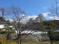 🏯 “White Heron Dreams: A Day at Majestic Himeji Castle”
