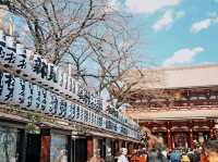 Magic, Blossoms & Organized Chaos — Tokyo’s Unforgettable Energy