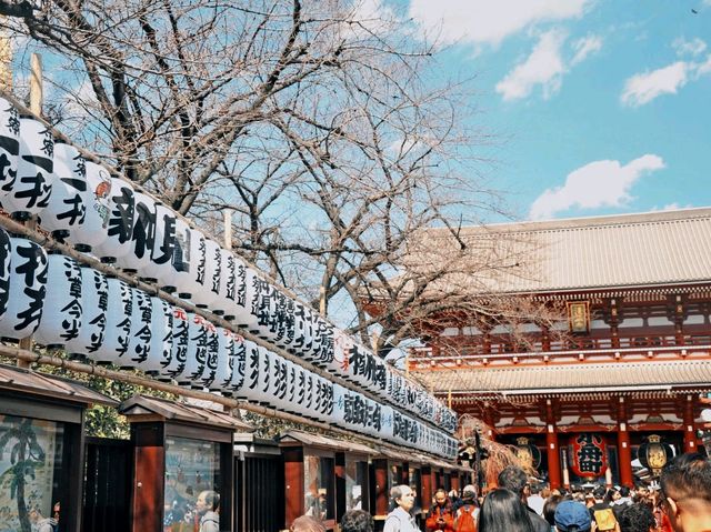 Magic, Blossoms & Organized Chaos — Tokyo’s Unforgettable Energy