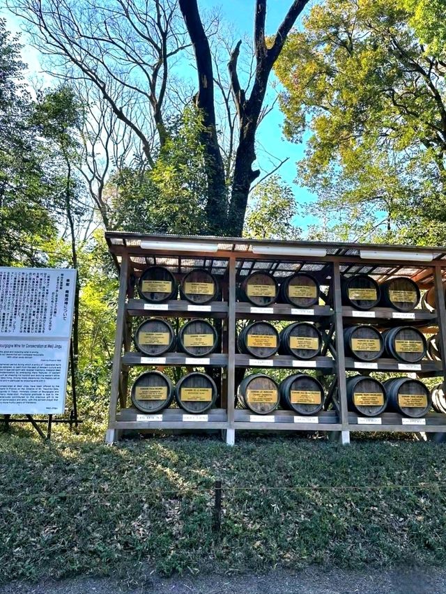 Peace in the Heart of Tokyo: Meiji Jingu Shrine