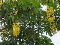 China-Malaysia Friendship Garden (Anjung Floria)