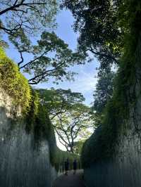 Discovering the Dragon Hole at Fort Canning Park🐉