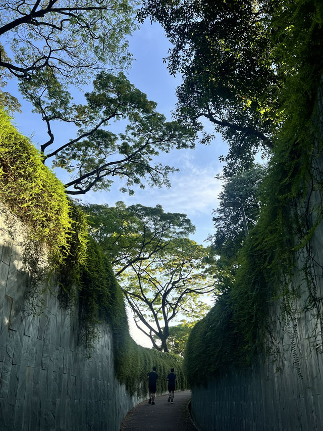 Discovering the Dragon Hole at Fort Canning Park🐉