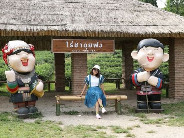 จิบชากินขนมที่ไร่ชาฉุยฟง