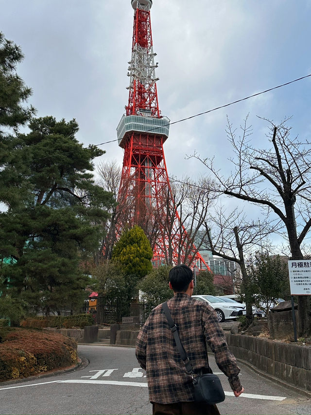 인생 첫 도쿄투어 다녀왔습니다!