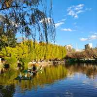 สวนสาธารณะGreen lakeในวันใบไม้เปลี่ยนสี