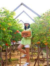 Move to Mountain Garden Cafe