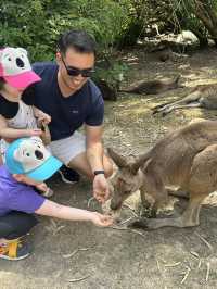 Adelaide Zoo – A Family-Friendly Wildlife Adventure in South Australia 🇦🇺🐼