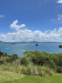 紐西蘭旅遊景點—🌊 Cathedral Cove｜自然雕刻的海上拱門美景 