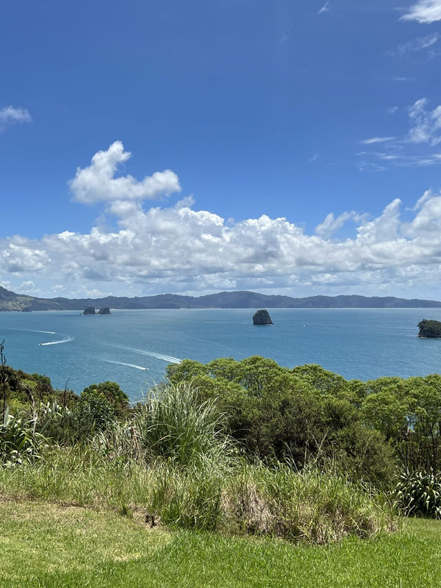 紐西蘭旅遊景點—🌊 Cathedral Cove｜自然雕刻的海上拱門美景 