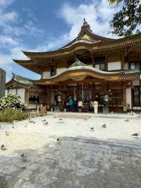 Kabushima Shrine: Where 30,000 Wild Gulls Become Sacred Messengers