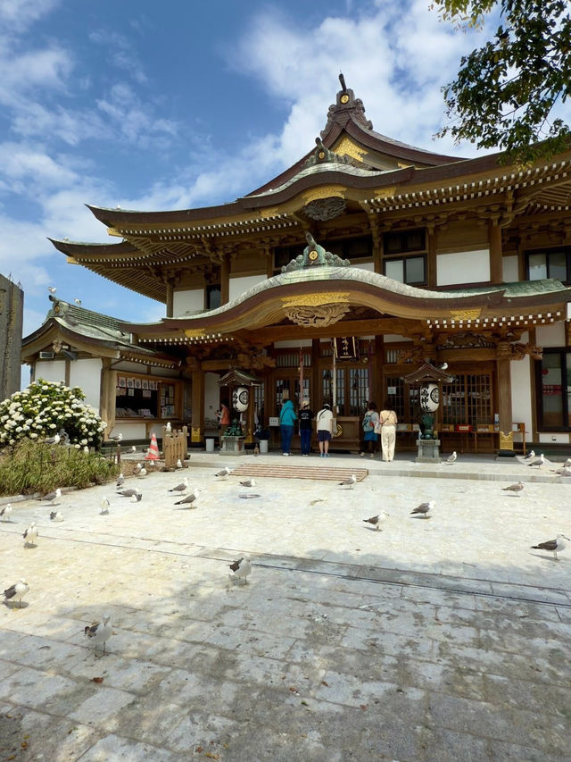 Kabushima Shrine: Where 30,000 Wild Gulls Become Sacred Messengers