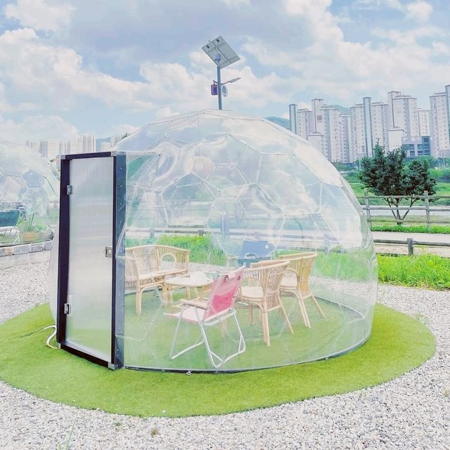 Tesharova Cafe